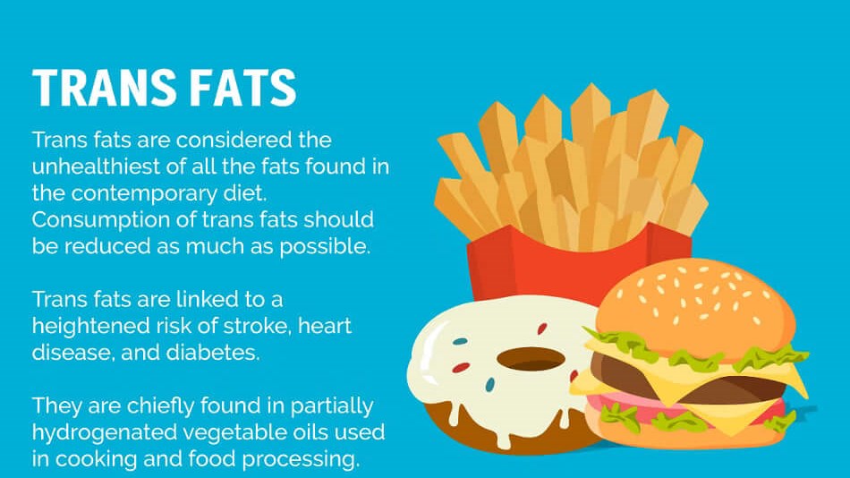 types of fat infographic
